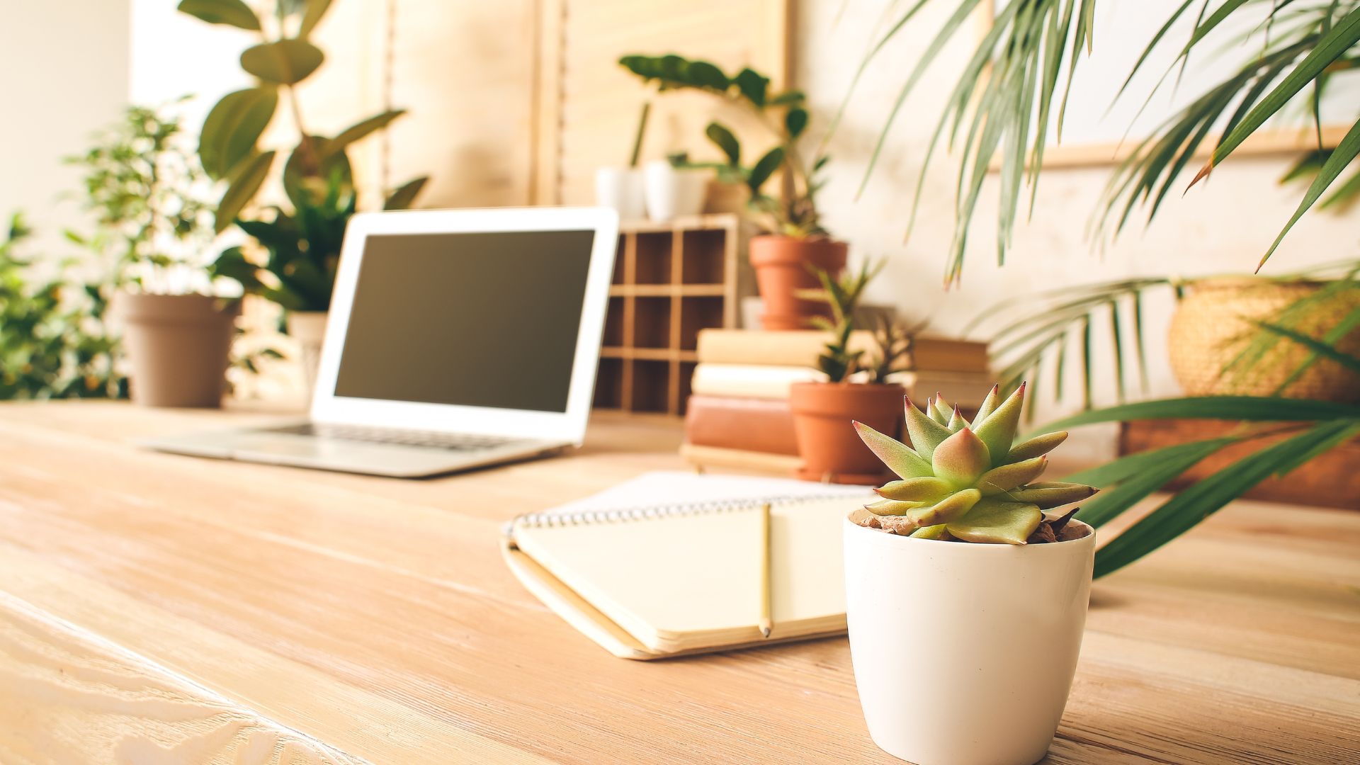 Company culture: Growing a productive workplace - EKW Group